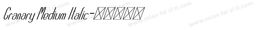 Granary Medium Italic字体转换